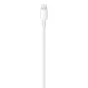 Cable USBC 1m