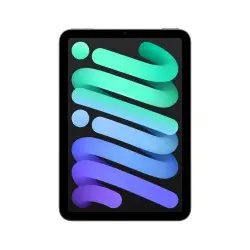 iPad mini WiFi 256GB Gris