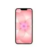 iPhone 17e 256GB Rosa Suave Apple al por mayor en España 📦 
