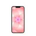 iPhone 17e 512GB Rosa Suave Apple por grosso B2B 📦