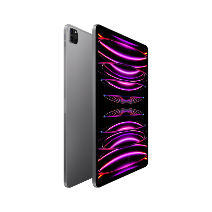 iPad Pro 12.9 Wifi 1TB Cinzento — preço grossista B2B