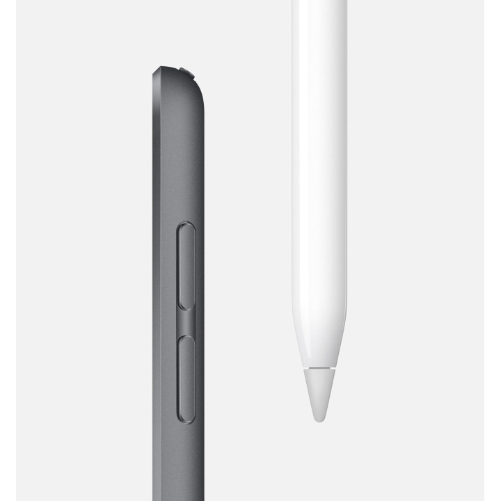 🛒 Compre iPad Mini Wi-Fi 256 GB Cinzento 