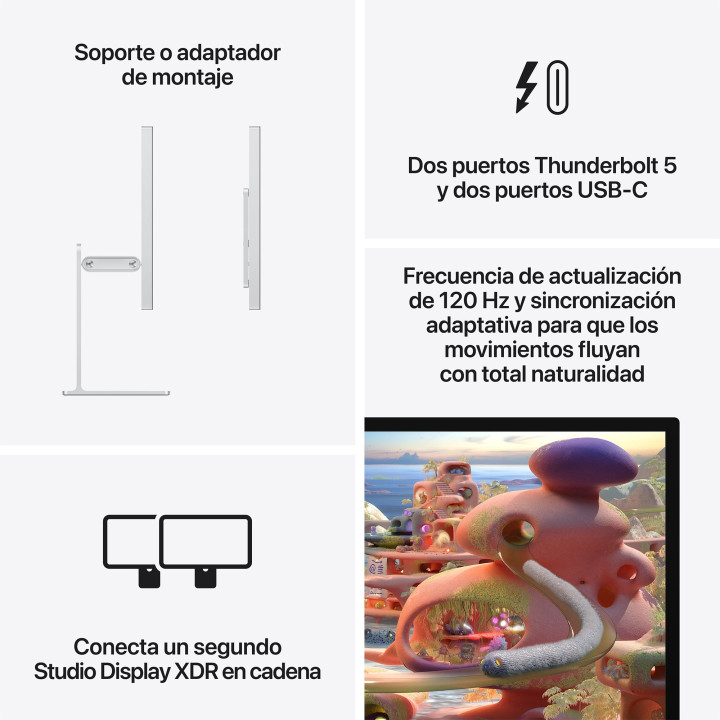 Studio Display XDR com vidrio nanotexturizado e adaptador de montaje VESA Apple por grosso B2B 📦